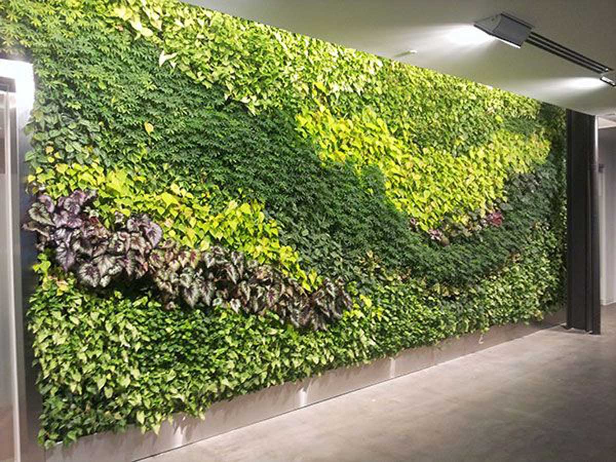 Vertical Garden Manufacturer in Gurgaon Delhi | Natural Vertical Garden