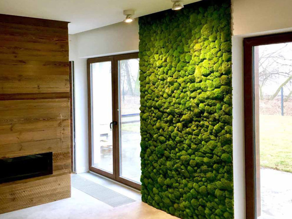 download moss walls